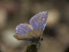 237926 – Photo : Florian ALONSO – France (69)